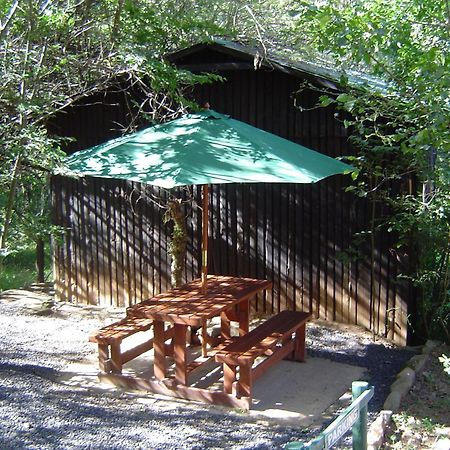 Forest Creek Lodge & Spa Dullstroom Kültér fotó