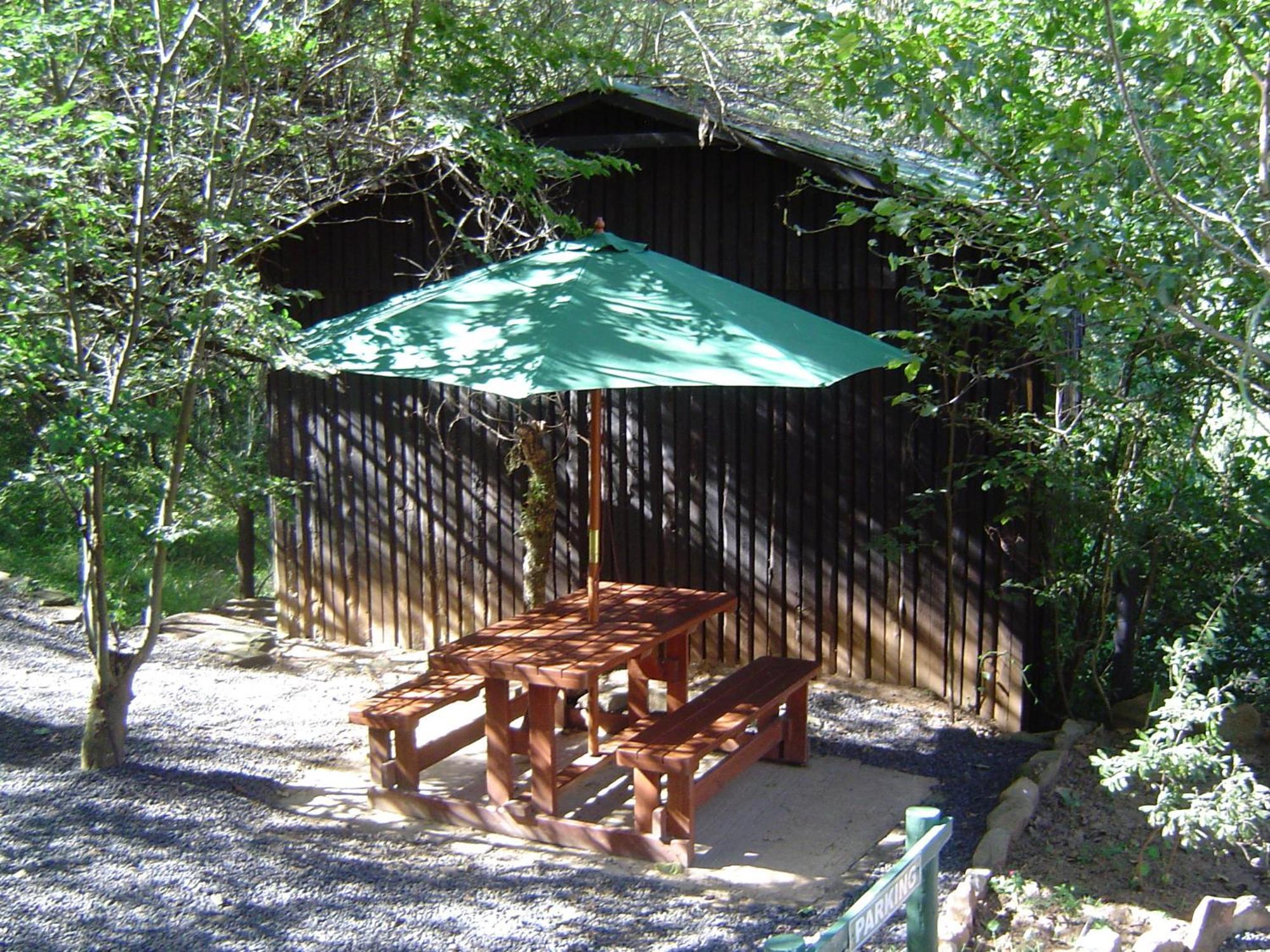 Forest Creek Lodge & Spa Dullstroom Kültér fotó