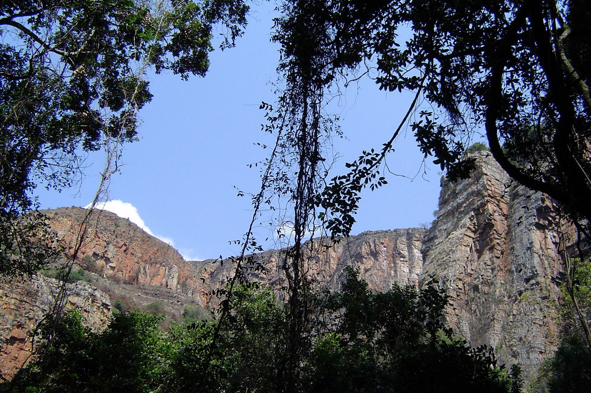 Forest Creek Lodge & Spa Dullstroom Kültér fotó