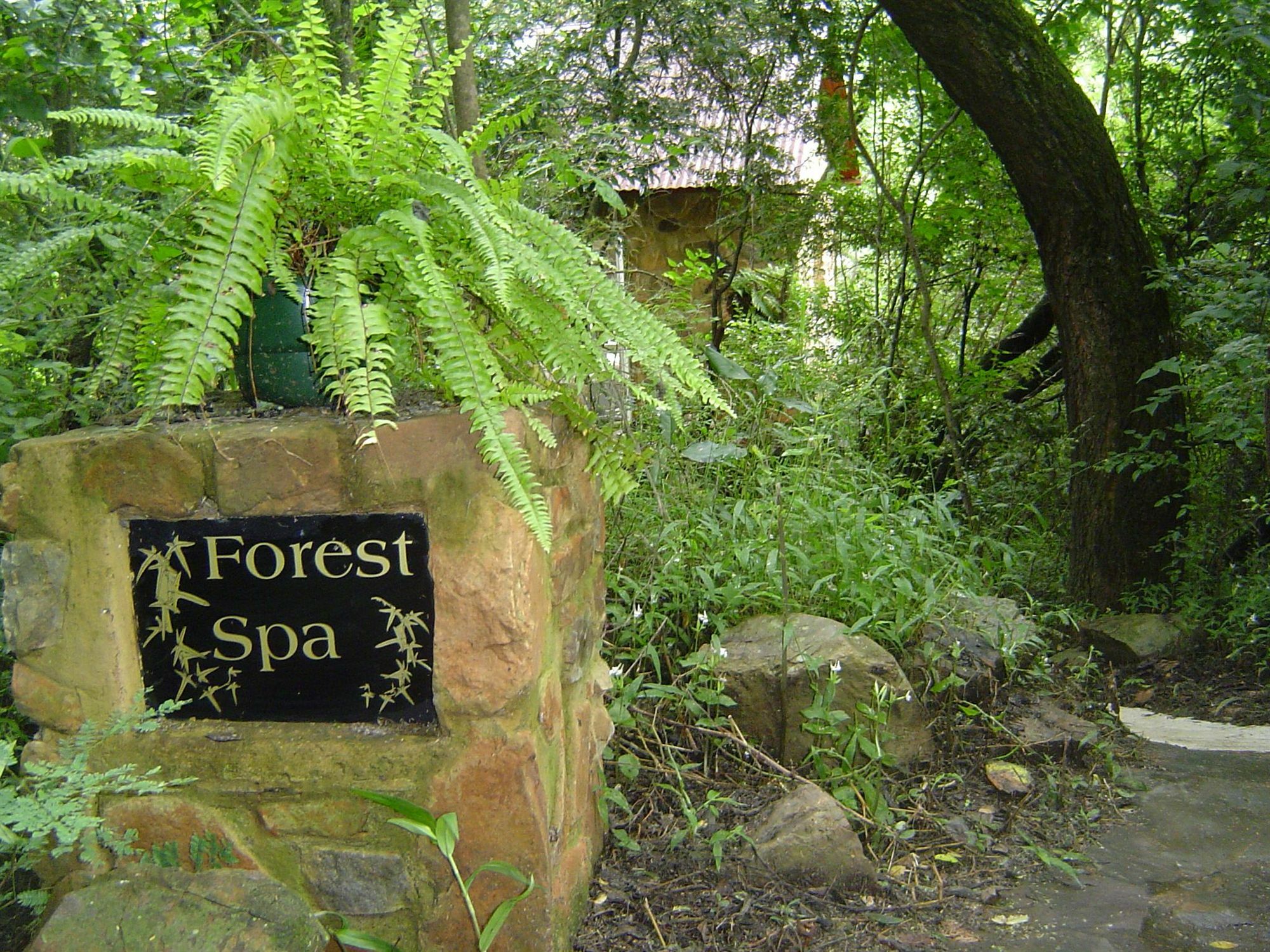 Forest Creek Lodge & Spa Dullstroom Kültér fotó